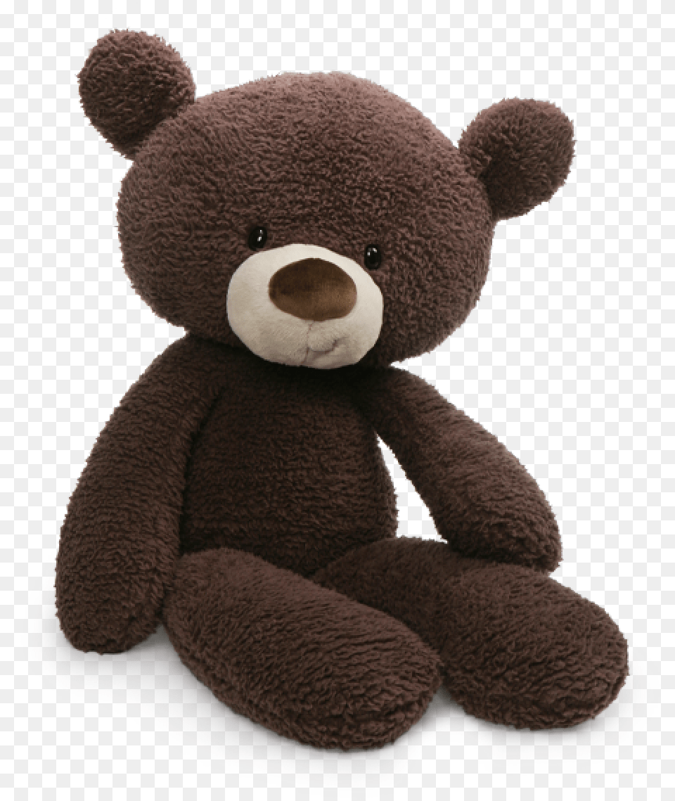 Fuzzy Chocolate Gund Fuzzy Bear Plush, Teddy Bear, Toy Png