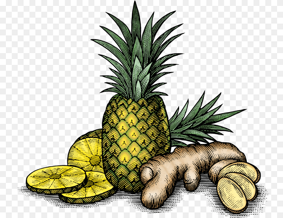 Fv Art 02 Pineapple And Ginger, Food, Fruit, Plant, Produce Free Png Download