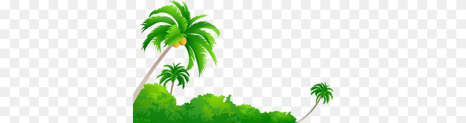 Fvet Coconut Aqua Marine, Green, Tree, Plant, Palm Tree Png Image