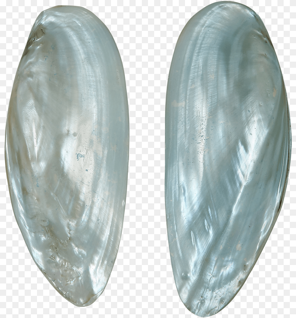 Fwp Spearhead Clam Pair 5 Up Dyed Blue Gemstone, Seashell, Animal, Food, Invertebrate Free Png Download