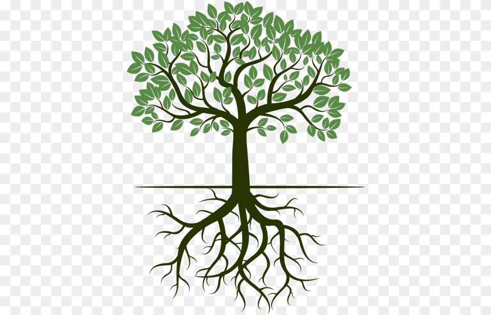 G Amp R Trees Tree With Roots Illustration, Plant, Root, Pattern, Art Free Png