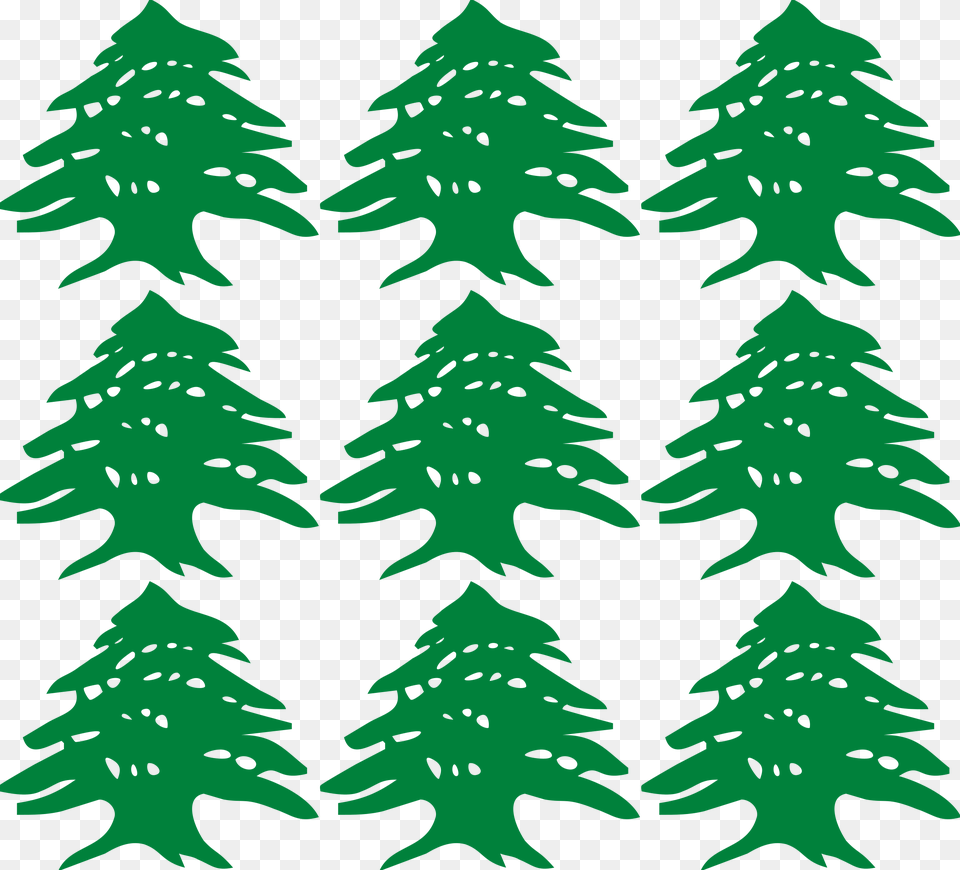G Flashcards Green Letter G, Tree, Plant, Christmas, Christmas Decorations Png Image