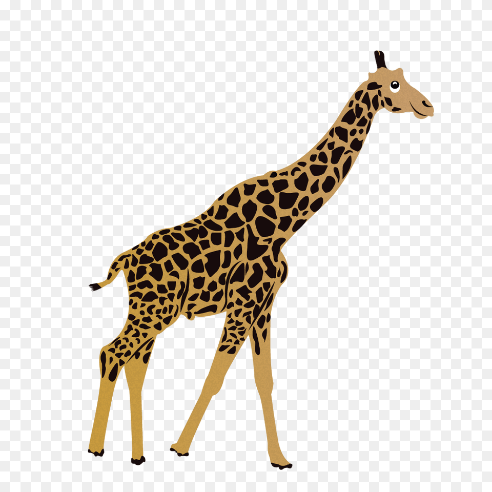 G Giraffe, Animal, Mammal, Wildlife Free Transparent Png