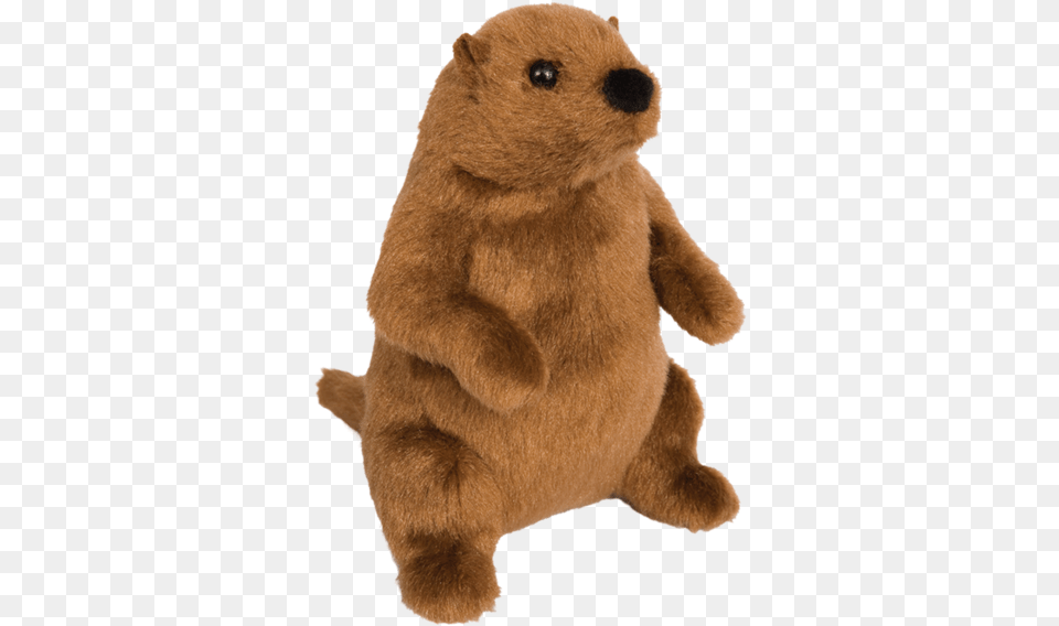 G Groundhog Buy A Stuffed Animal Groundhog, Bear, Mammal, Wildlife, Plush Free Png Download