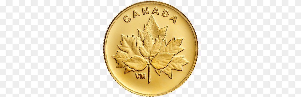 G Pure Gold Coin Bouquet Of Maple Leaves Mintage Gram Gold Coin, Leaf, Plant, Birthday Cake, Cake Png