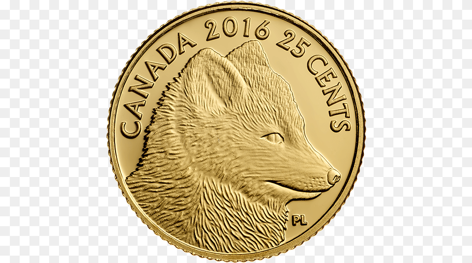 G Pure Gold Coin U2013 Predator Vs Prey Traditional Arctic Fox Canada 25 Cents 2016 Royal Mint Gold, Money, Plate Png