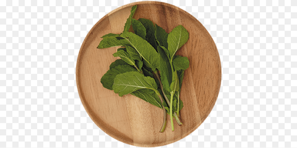 G Spinach, Leaf, Plant, Herbs, Food Png Image