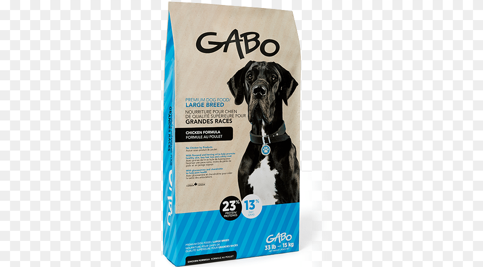 Gabo Large Breed Dog Food Photograph, Animal, Canine, Mammal, Pet Free Png
