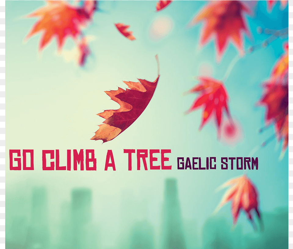 Gaelic Storm Go Climb A Tree, Leaf, Plant, Maple, Maple Leaf Free Transparent Png