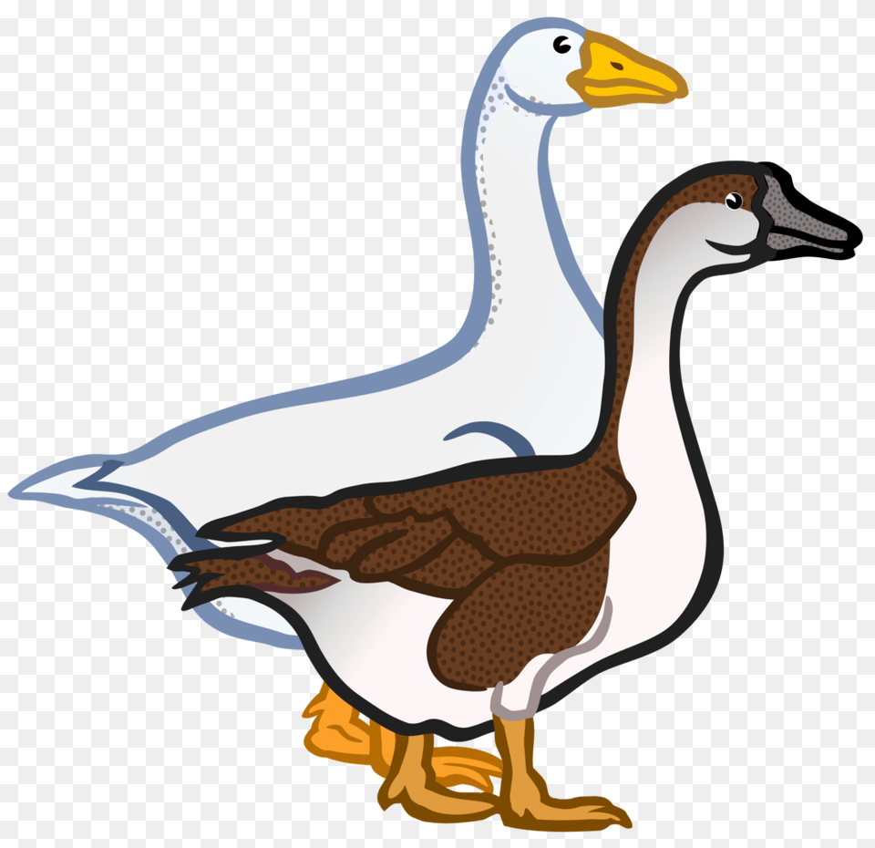Gaense Coloured Clip Art Goose, Animal, Anseriformes, Bird, Waterfowl Png
