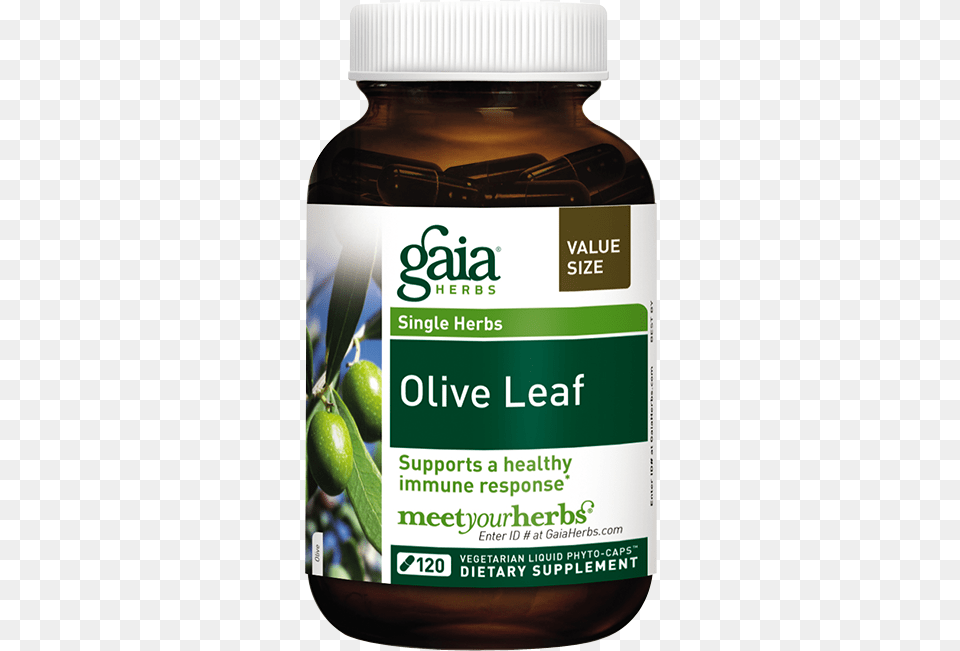 Gaia Olive Leaf 120 Liquid Filled Capsules Gaia Thyroid Support, Herbal, Plant, Herbs, Produce Free Png Download