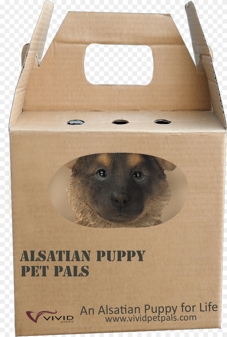 Gain A Companion Through Dog Training Tips Gtgtgt Find Vivid Arts, Box, Cardboard, Carton, Animal Free Png