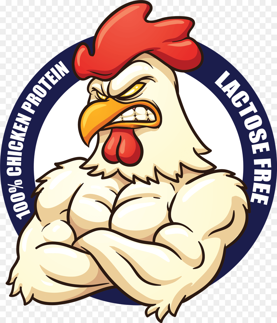 Gain Lean Muscle Mass Chicken Cartoon, Animal, Bird, Fowl, Poultry Png