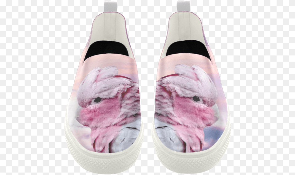 Galah Cockatoo Apus Slip On Microfiber Women Shoes Dolphin, Clothing, Footwear, Shoe, Sneaker Png Image