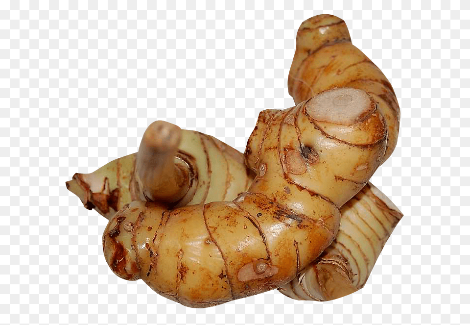 Galangal, Food, Ginger, Plant, Spice Free Transparent Png