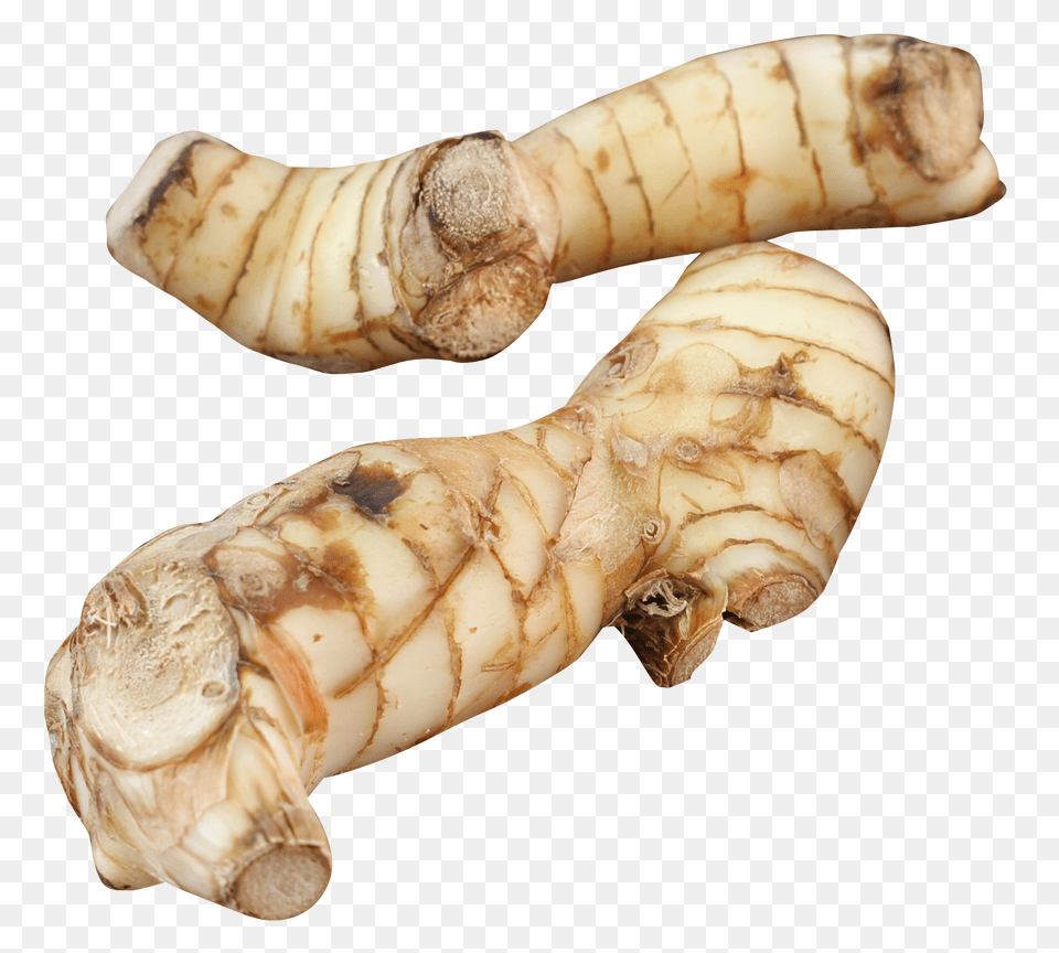 Galangal, Food, Ginger, Plant, Spice Free Png