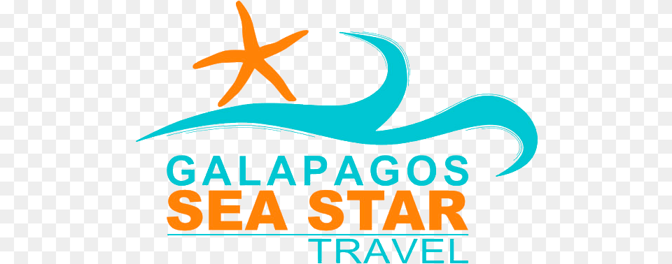 Galapagos Islands Tours Travel Trips Graphic Design, Animal, Sea Life, Fish, Shark Png Image
