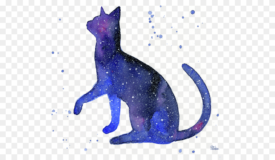 Galaxy Cat, Animal, Mammal, Pet, Egyptian Cat Png