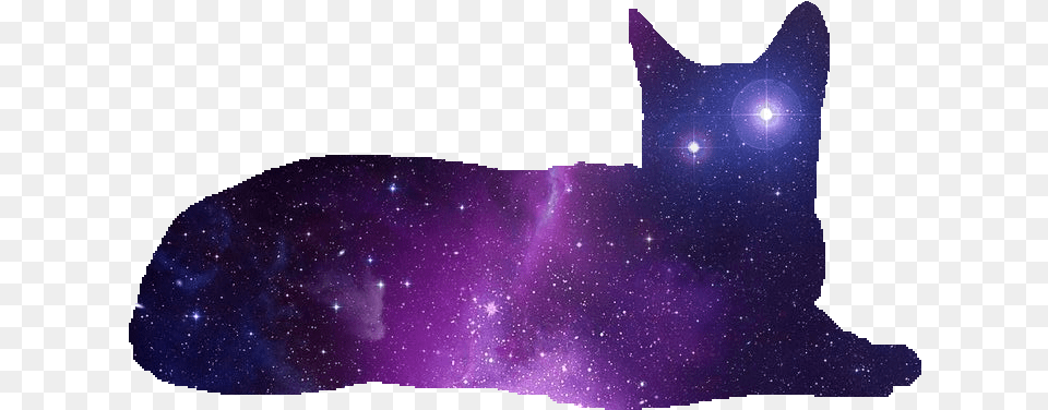 Galaxy Cat Divider Animal Galaxy Cat, Nature, Night, Outdoors, Purple Png
