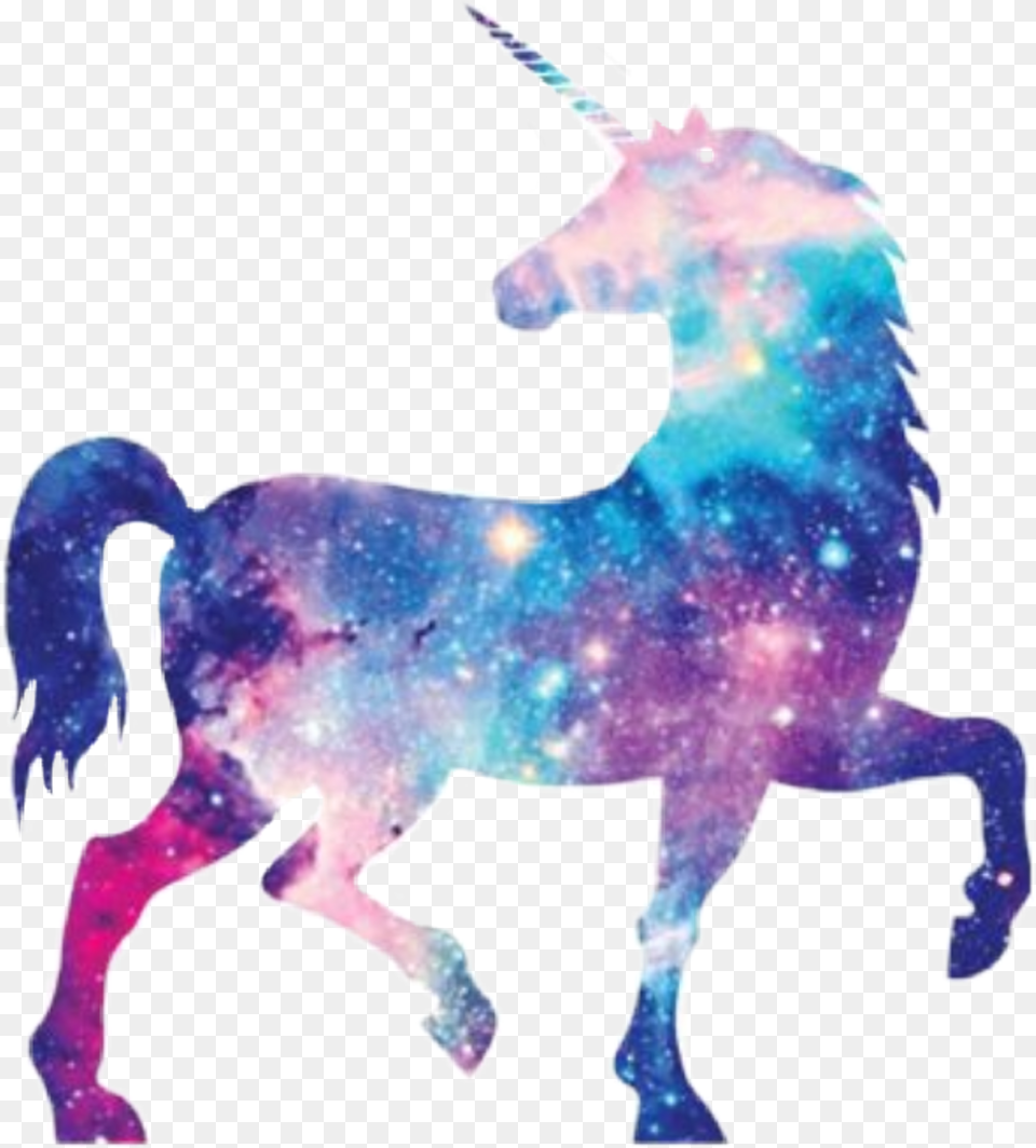 Galaxy Unicorn Unicorn, Person, Animal, Colt Horse, Horse Free Transparent Png