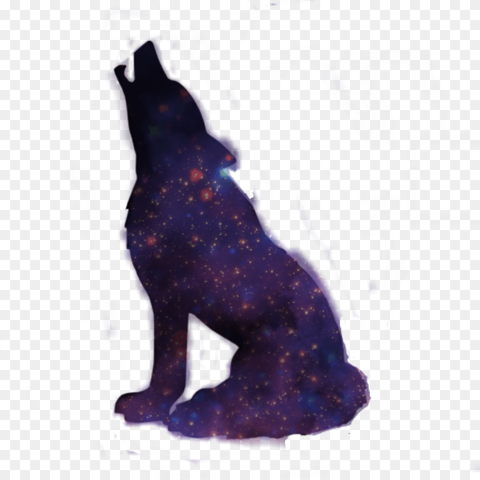Galaxy Wolf Howling Black Wolf Shadow, Accessories, Outdoors, Ornament, Nature Free Png Download