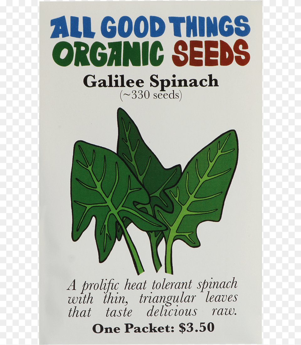 Galilee Spinach Lettuce, Leaf, Plant, Advertisement, Food Free Png Download