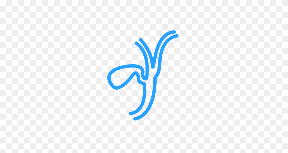 Gallbladder Pancreas Icon With And Vector Format For, Light, Knot, Neon, Animal Free Png