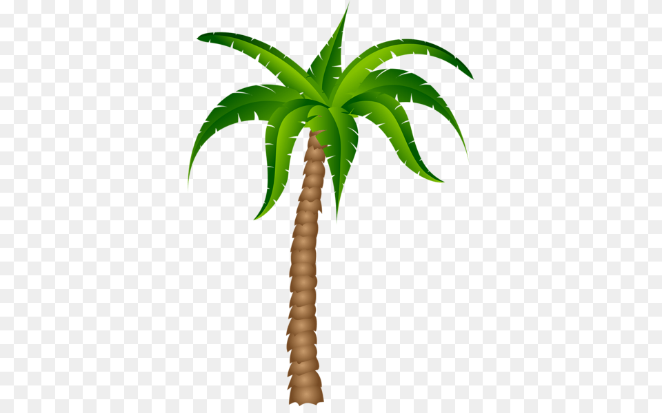 Gallery, Palm Tree, Plant, Tree Free Png Download