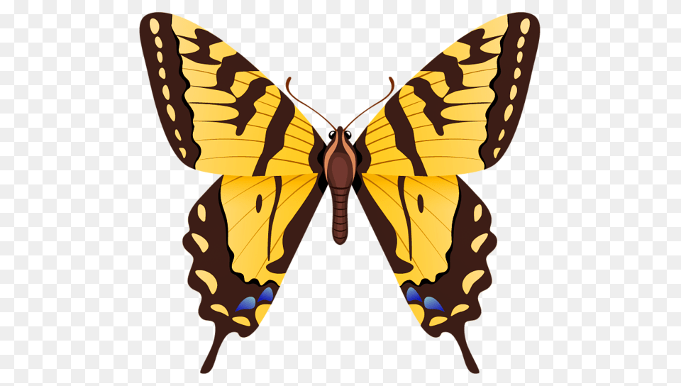 Gallery, Animal, Butterfly, Insect, Invertebrate Free Transparent Png
