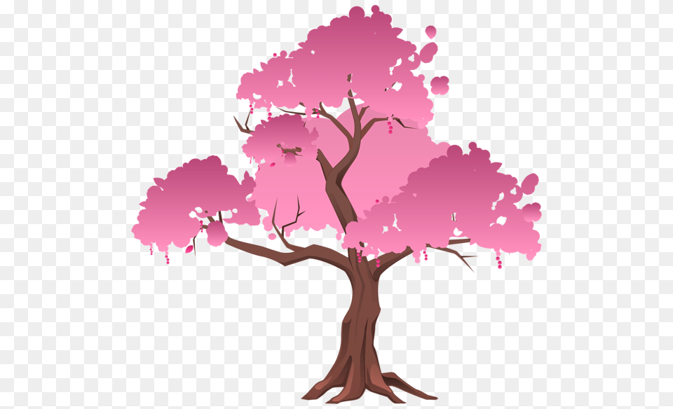 Gallery, Flower, Plant, Tree, Person Png