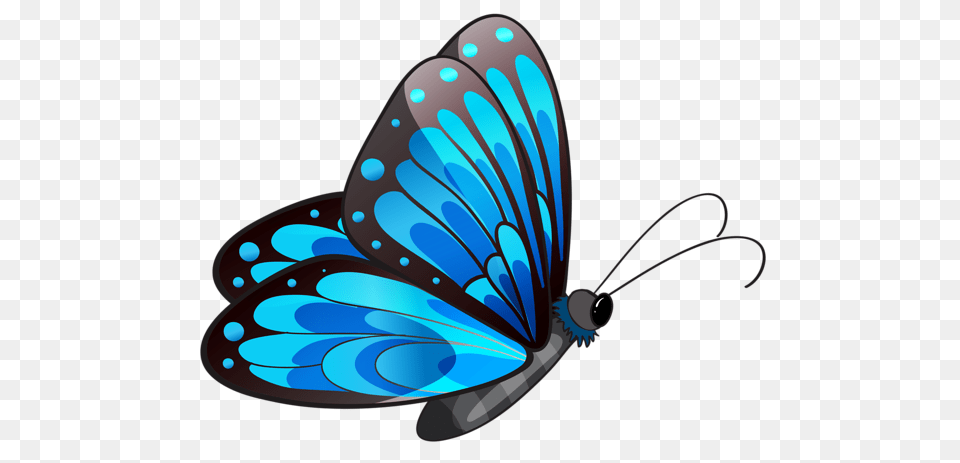 Gallery, Animal, Butterfly, Insect, Invertebrate Png