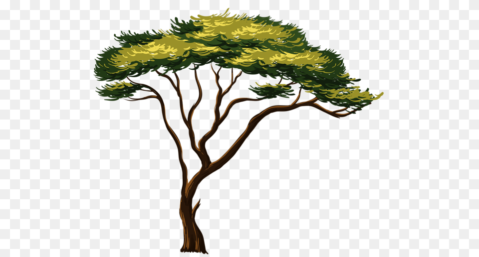 Gallery, Plant, Tree, Art, Vegetation Png Image