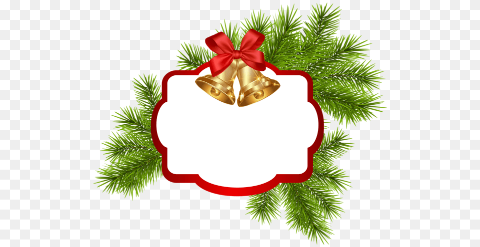 Gallery, Plant, Tree, Clothing, Hat Free Transparent Png