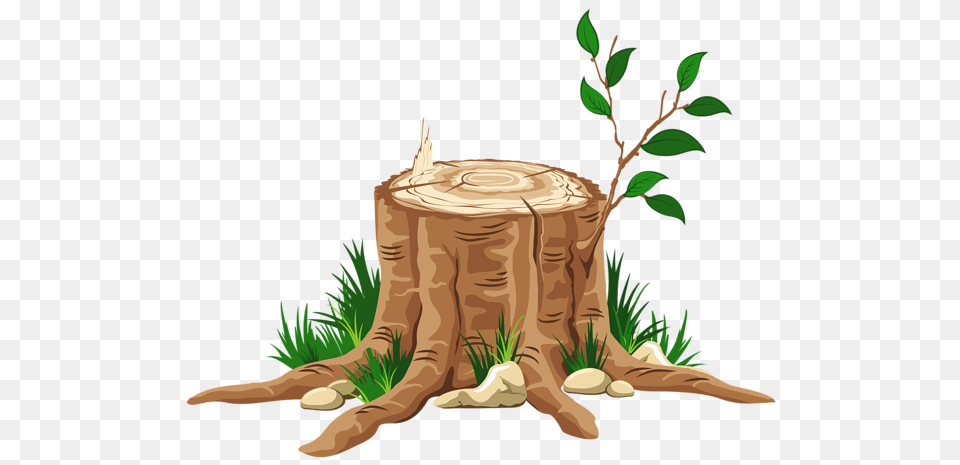 Gallery, Plant, Tree, Tree Stump, Animal Free Transparent Png