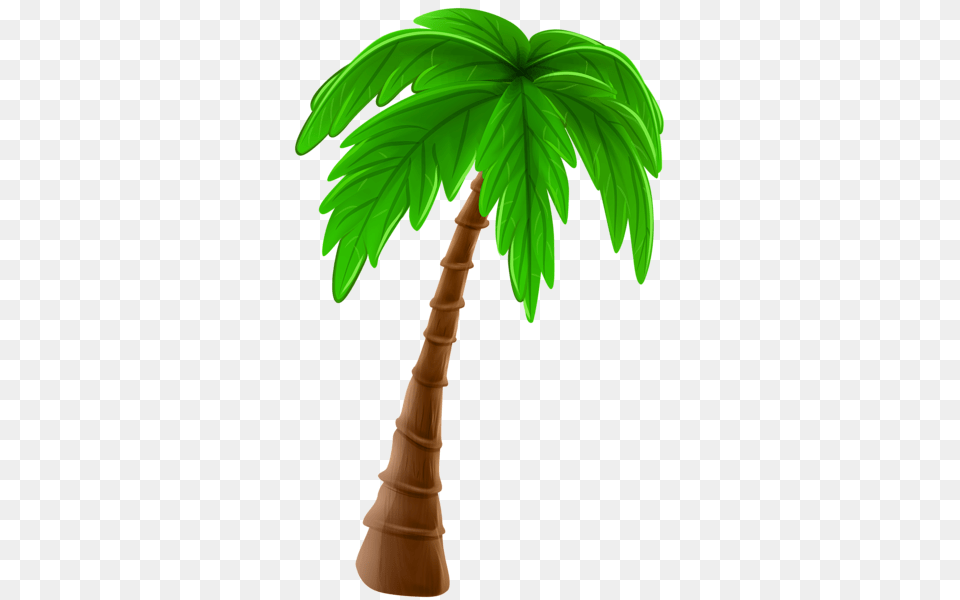 Gallery, Leaf, Palm Tree, Plant, Tree Free Transparent Png