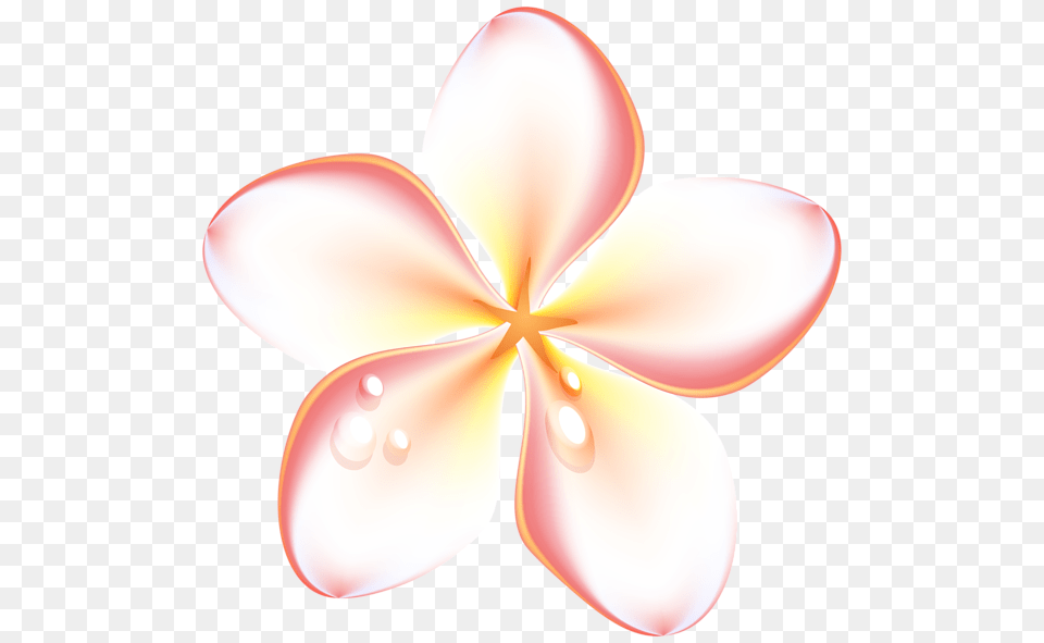 Gallery, Flower, Petal, Plant, Anther Free Transparent Png