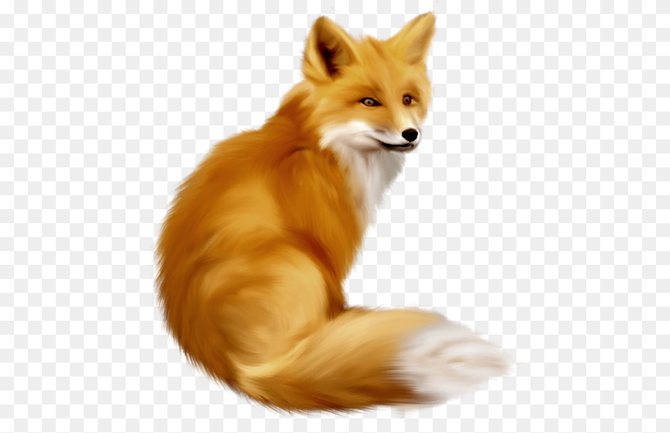 Gallery Clipart Picture Fox Clipart, Animal, Canine, Mammal, Red Fox Png Image