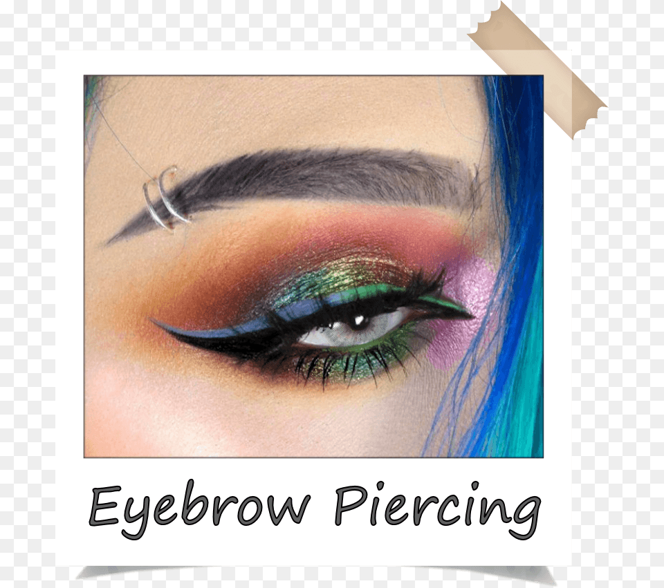 Gallery Eyebrow Piercing, Adult, Face, Female, Head Png