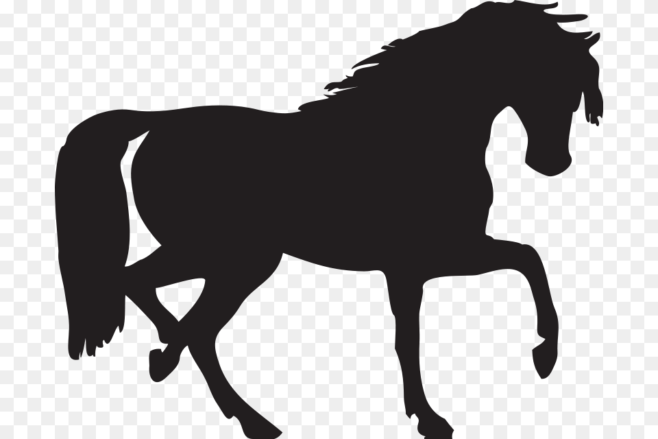 Gallery For Cinderella Head Silhouette, Animal, Colt Horse, Horse, Mammal Free Png Download