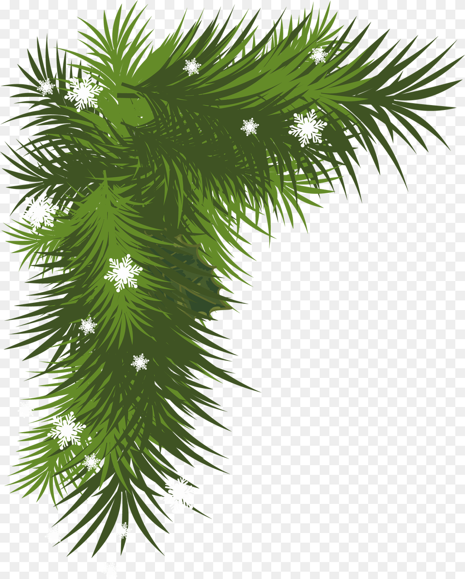 Gallery For Pine Tree Branch Clip Art Christmas Tree Leaves, Plant, Green, Graphics, Floral Design Png Image