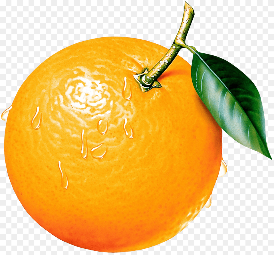 Gallery Pictureu2026 Fruit Orange Pictuu2026 Orange Clipart, Citrus Fruit, Food, Grapefruit, Plant Free Png