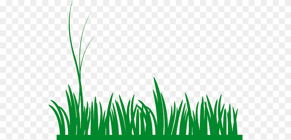 Gallery Images And Information Grass Border Clip Art, Green, Lawn, Plant, Vegetation Free Transparent Png