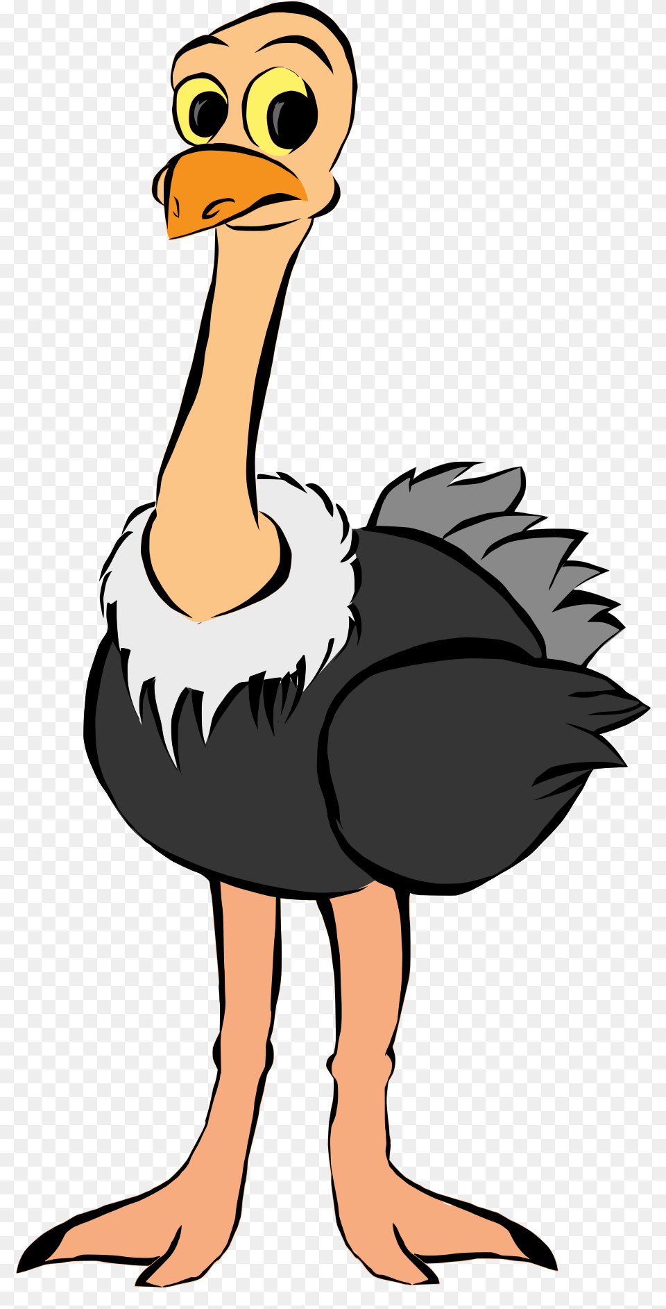 Gallery Of Kisspng Common Ostrich Bird Clip Art African Ostrich Clipart, Animal, Beak, Adult, Female Png