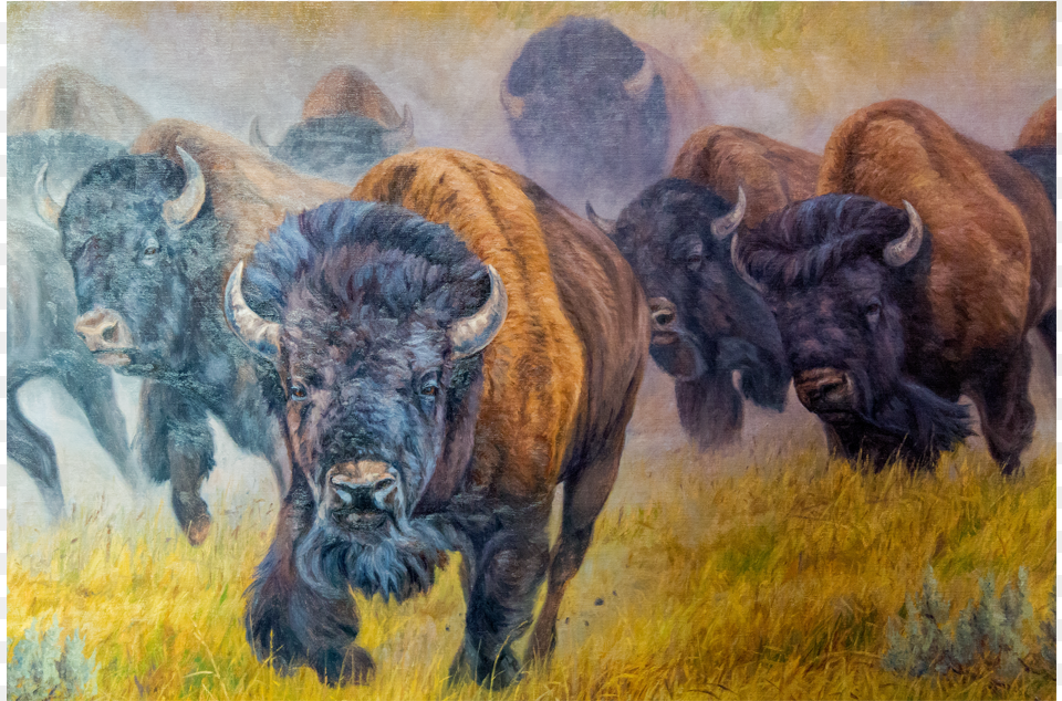 Gallery Oil Painting, Animal, Mammal, Wildlife, Buffalo Free Png Download