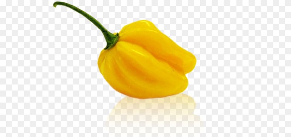 Gallery Small Habanero Yellow Big Sun Yellow, Food, Produce, Bell Pepper, Pepper Free Png