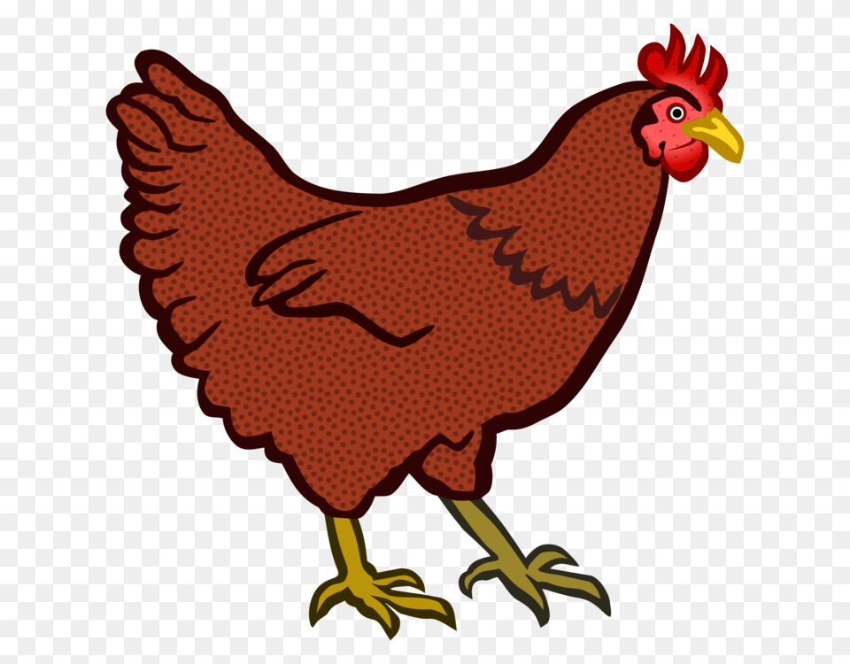 Galliformes Cochin Chicken The Little Red Hen Computer Icons Animal, Bird, Fowl, Poultry Free Png Download