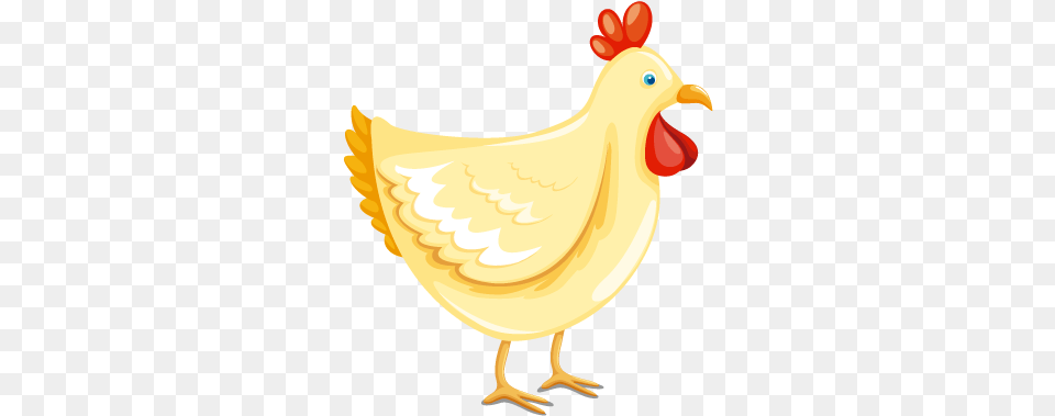 Gallina Rooster, Animal, Bird, Chicken, Fowl Free Png Download