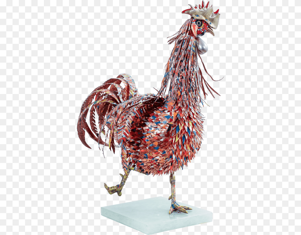 Gallo Variopinto Pietro De Tommaso Rooster, Adult, Person, Woman, Female Png