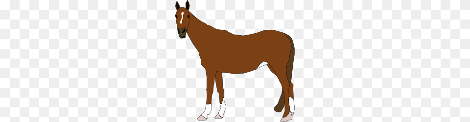 Gallop Along With Horse Clip Art, Person, Animal, Colt Horse, Mammal Png