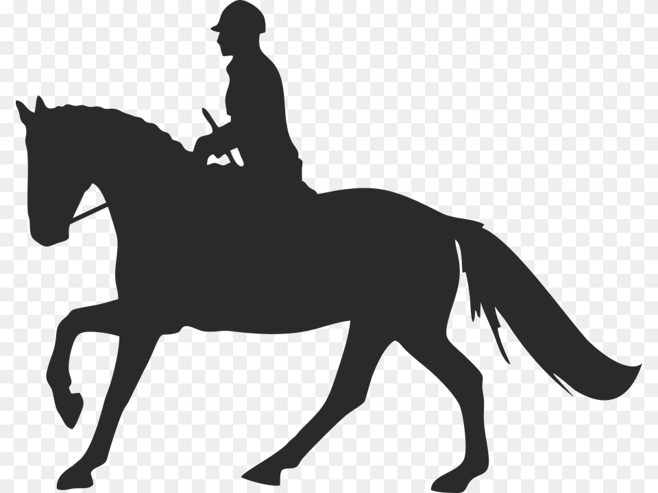 Galloping Horse And Rider Silhouette, Animal, Baby, Mammal, Person Free Png